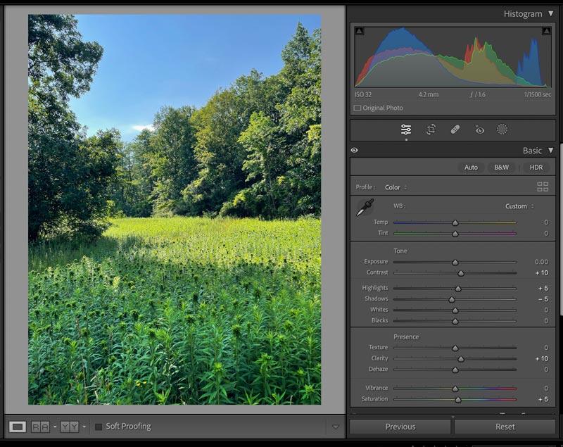 Understanding the Basic Tools of Adobe Lightroom Classic’s Develop Module