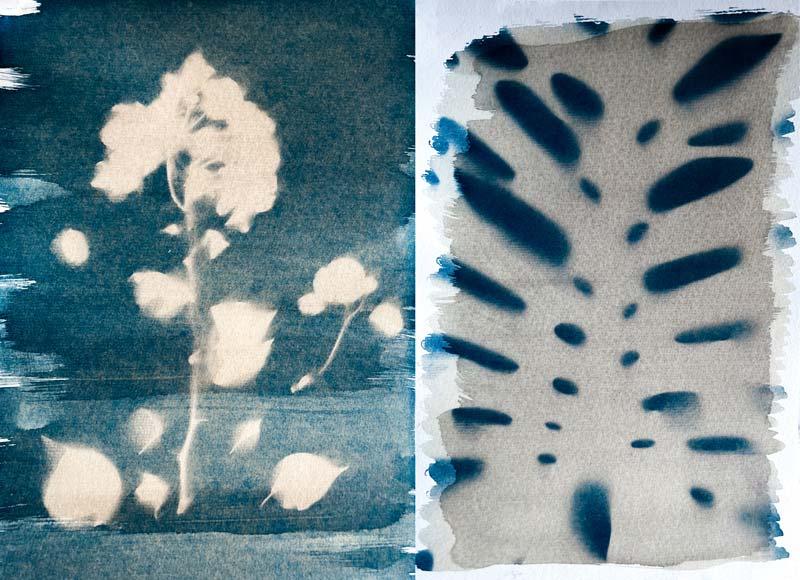 Cyanotype: Techniques and Experimental Applications