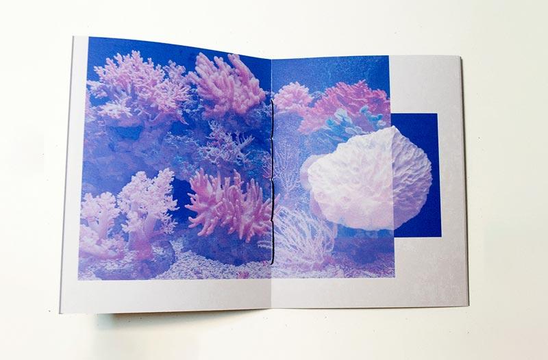 Handmade Photo-Zine Workshop [special]