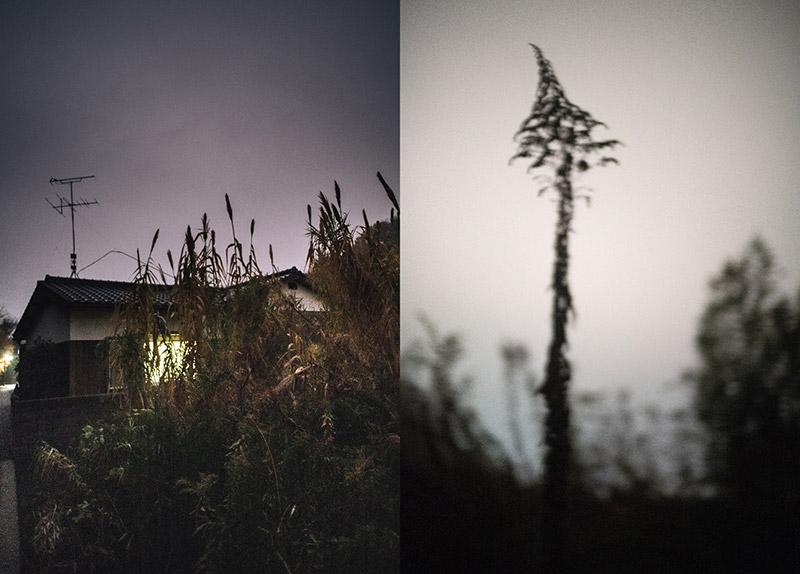 Discovering the Poetry in Nighttime Photography
