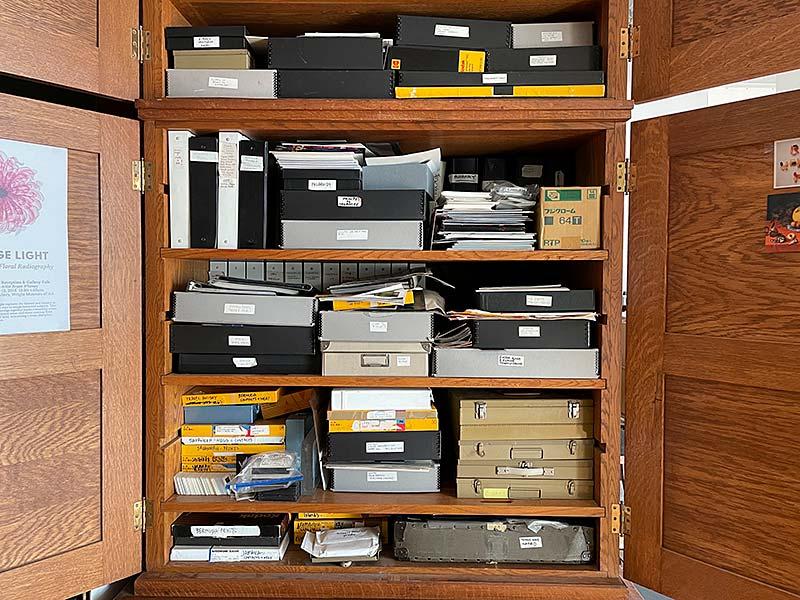 How to Archive, Organize, and Care for Your Digital and Analog Photographs