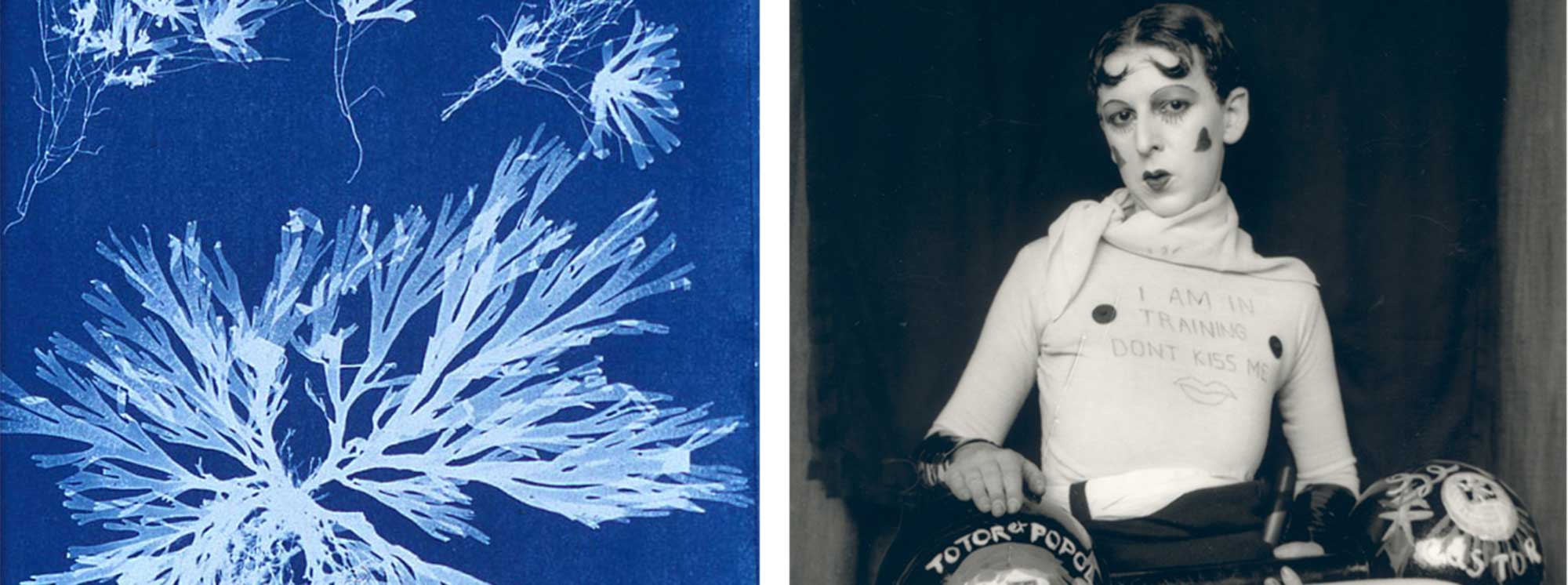 photo &copy; © Anna Atkins (left) / Claude Cahun (right)© Anna Atkins (left) / Claude Cahun (right)