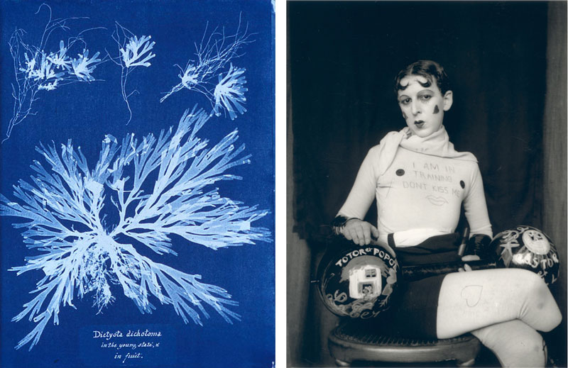 Women Behind the Camera: How They’ve Shaped and Influenced Photography