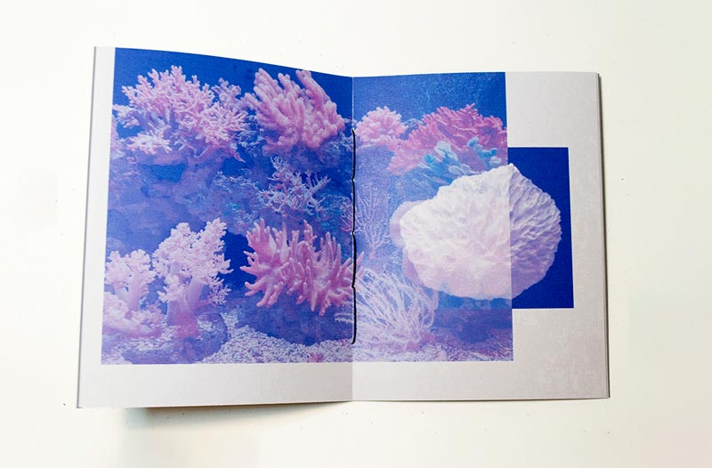 Handmade Photo-Zine Workshop