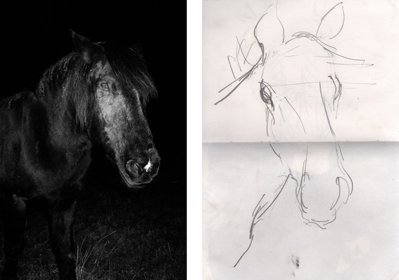 The Plasticity of Memory: Creating New Work from Your Personal Archives