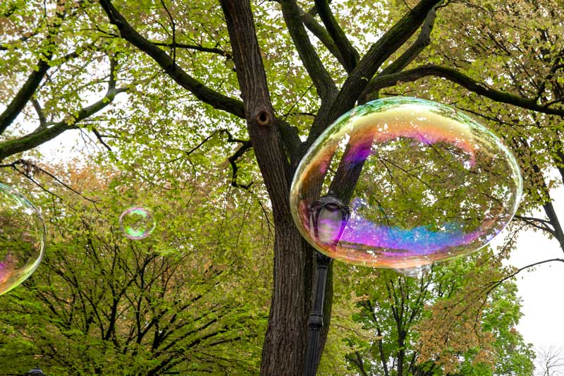 Central Park bubble