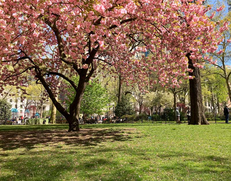 Central Park