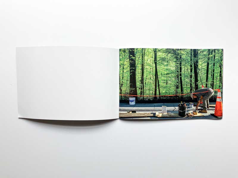 Nature Study by Suzanne McIntire