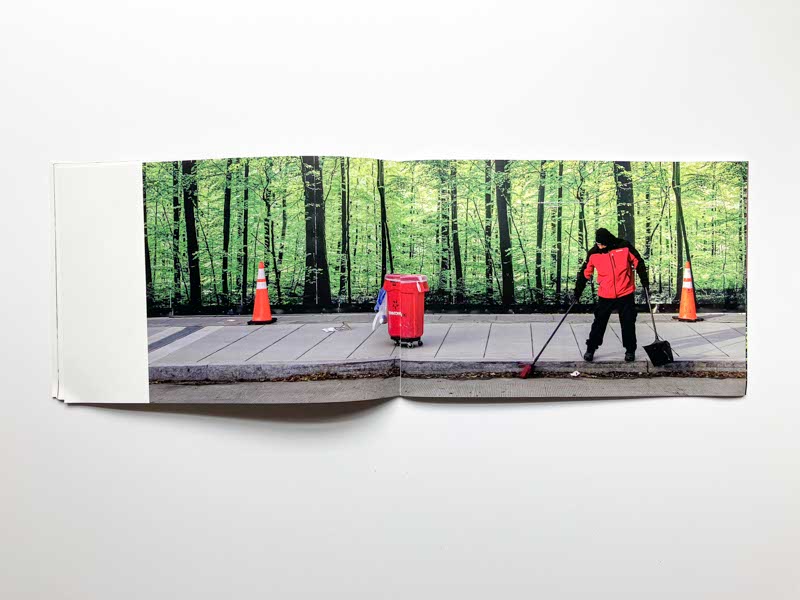 Nature Study by Suzanne McIntire