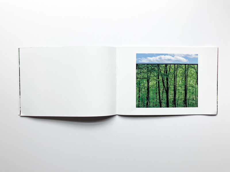 Nature Study by Suzanne McIntire