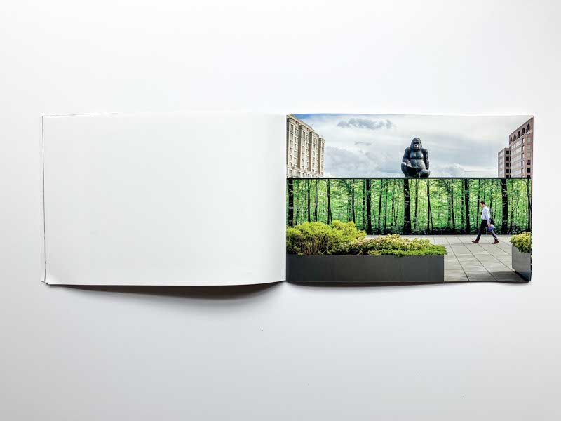 Nature Study by Suzanne McIntire