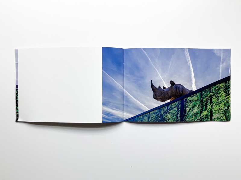 Nature Study by Suzanne McIntire