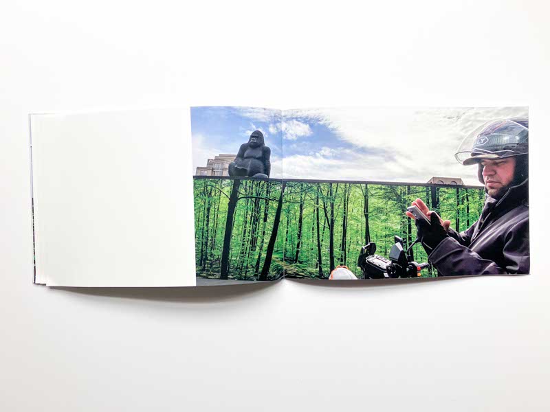 Nature Study by Suzanne McIntire