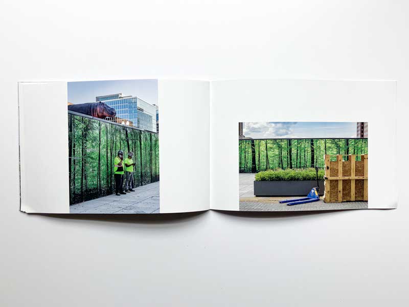 Nature Study by Suzanne McIntire