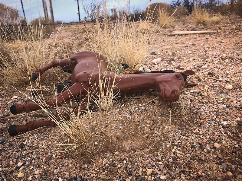 StrudelmediaLive - Shake Up Your Photography!