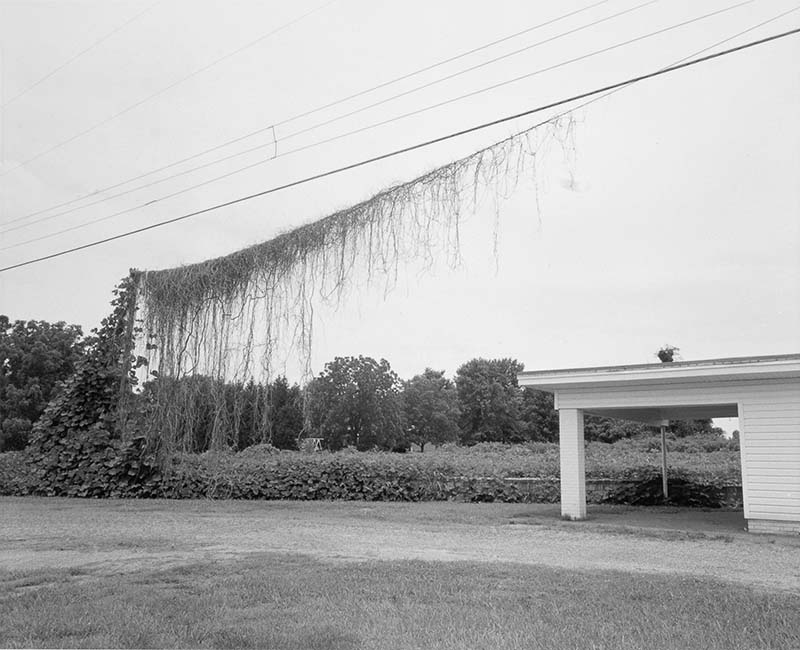 StrudelmediaLive - Shake Up Your Photography!