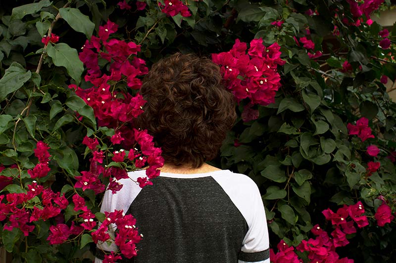 StrudelmediaLive - Ways of Seeing