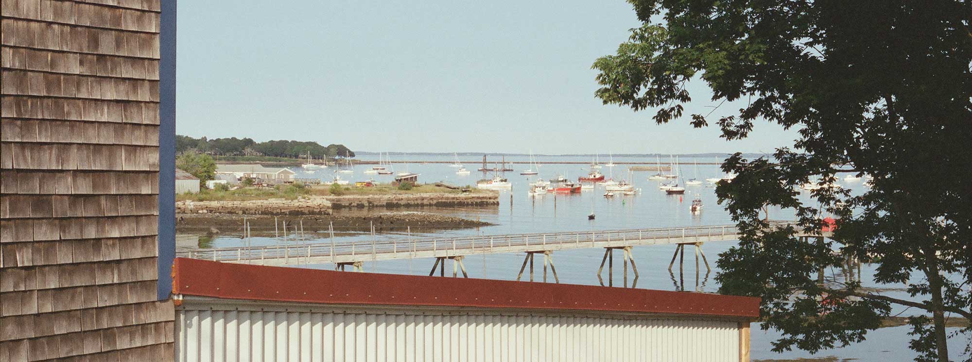 photo &copy; Daniela López Amézquita