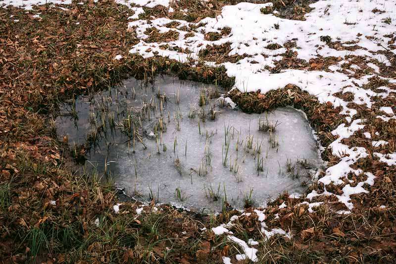 StrudelmediaLive - Let Movies Inspire Your Photography: Part 3