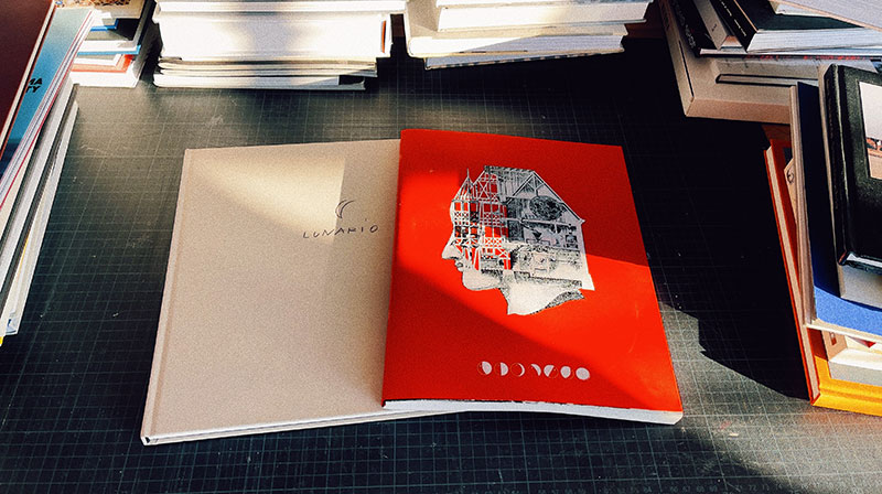 Lunario by Guido Guidi (Mack), and Dream Moons by Yurian Quintanas Nobel (Void)