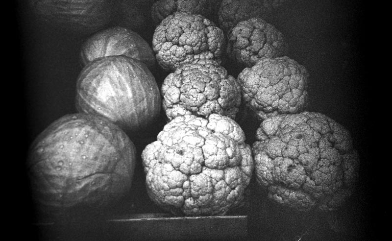 “The Optical Unconscious”: Adventures in Surrealist Photography