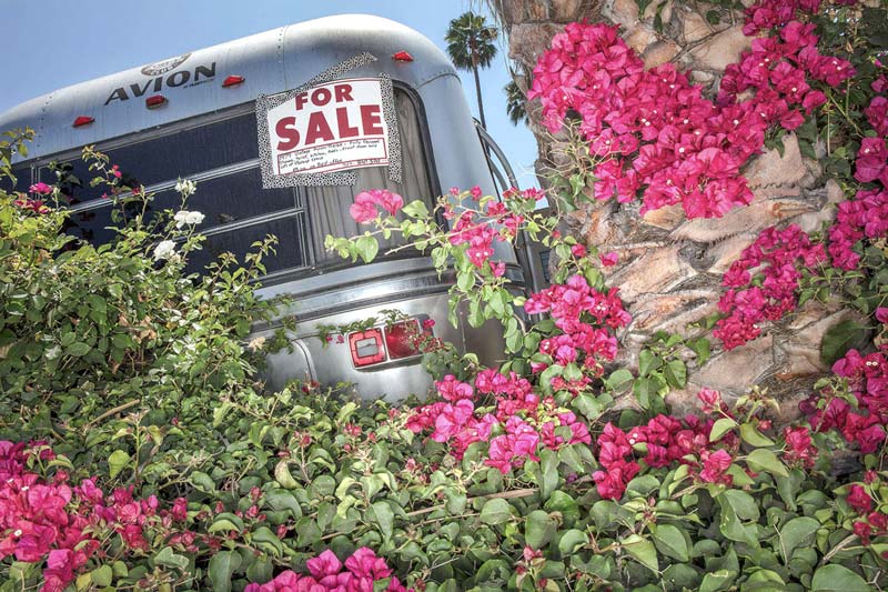 Street Photography: Discovering the Social Landscape