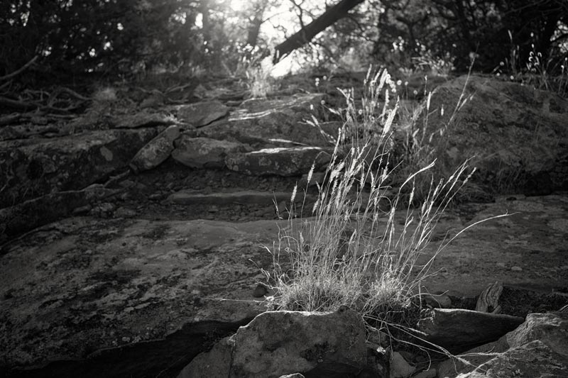 Assignment: Monochrome! Analysis, Technique, and Exercises in B&W
