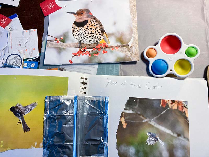 StrudelmediaLive - Creative Color Photography: Techniques, Exercises, and Approaches