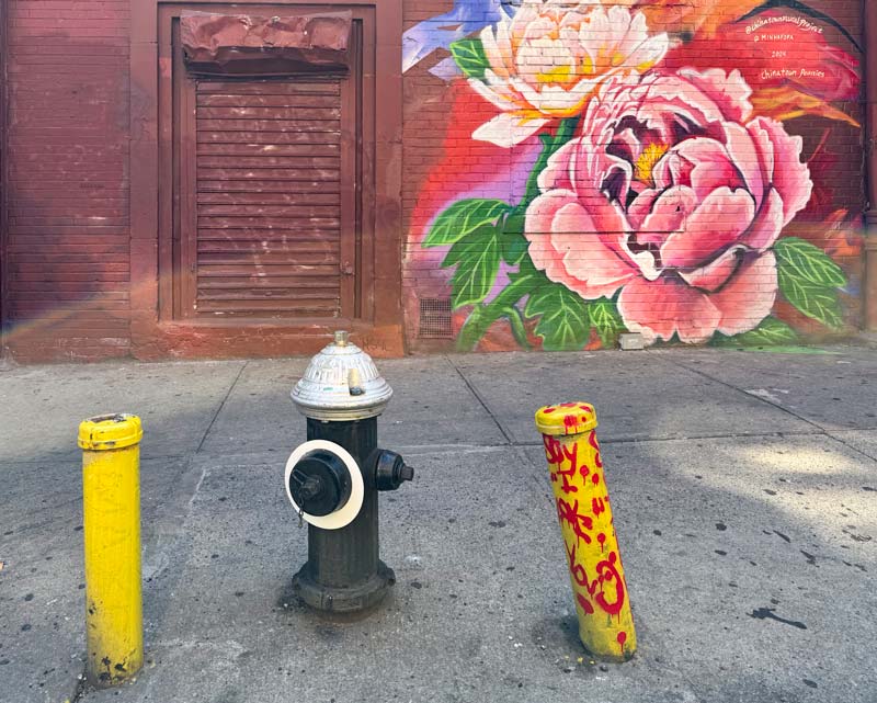 Manhattan’s Lower East Side and Chinatown: In-Person Weekend Photo Workshop